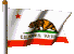 CA flag